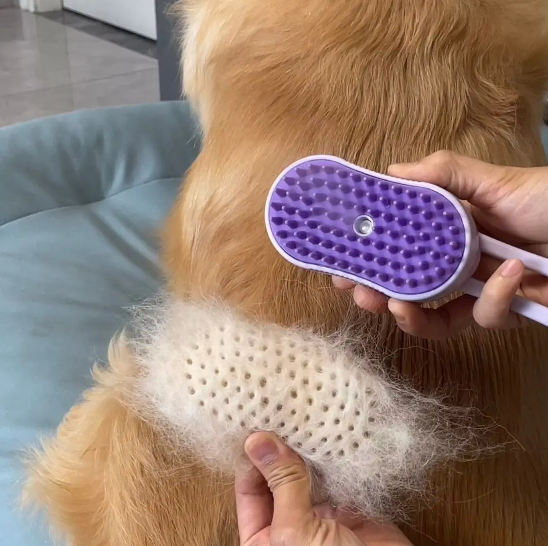 🐶Flysmus™ Ultra-Steam Brush (For dogs and cats)